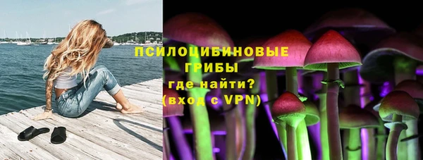 apvp Алзамай