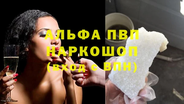 apvp Алзамай
