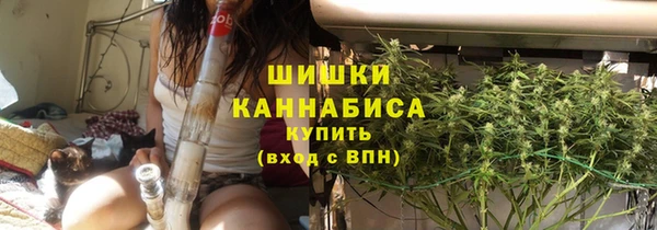 apvp Алзамай