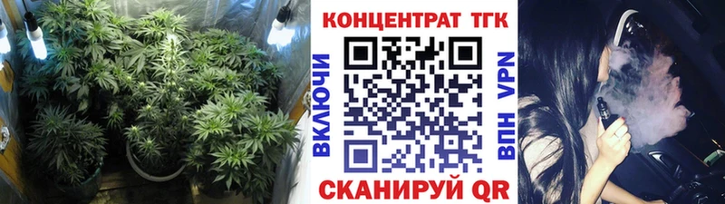 OMG ONION  Алзамай  Дистиллят ТГК жижа 